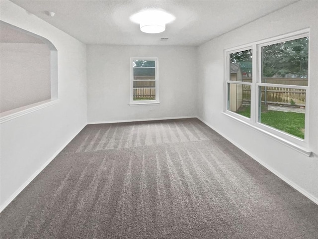 126 Waterlily Way, Hutto, TX 78634 - unfurnished room featuring carpet flooring and a textured ceiling