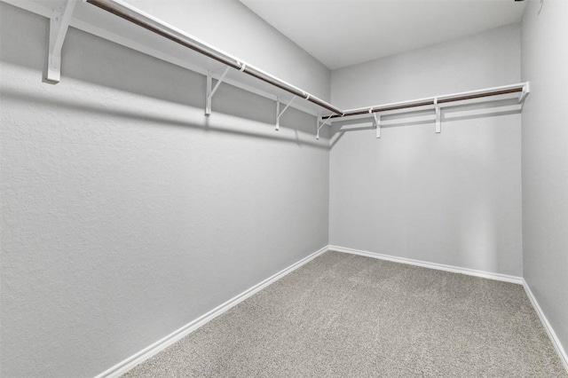 223 Hunters Brk, San Antonio, TX 78253 - spacious closet featuring carpet