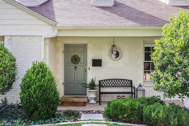 3202 Beverly Rd, Austin, TX 78703 - view of exterior entry featuring brick siding, a porch, and roof with shingles