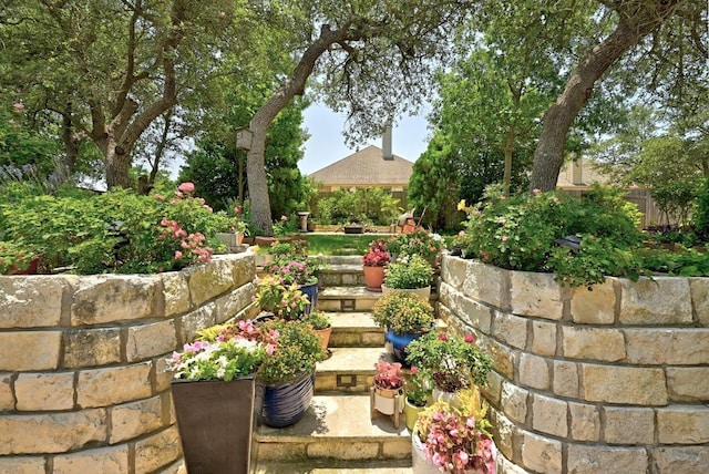 601 Harris Dr, Austin, TX 78737 - view of yard