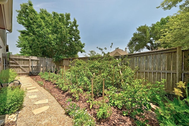 601 Harris Dr, Austin, TX 78737 - view of fenced backyard