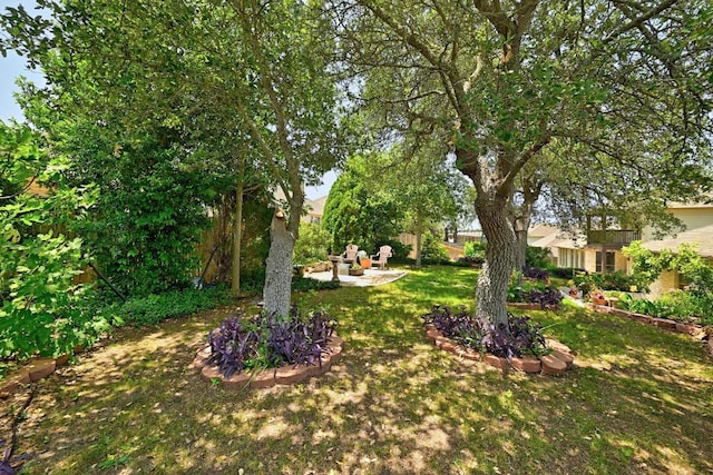 601 Harris Dr, Austin, TX 78737 - view of grassy yard