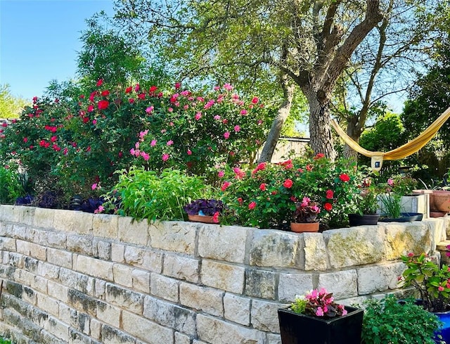 601 Harris Dr, Austin, TX 78737 - exterior view