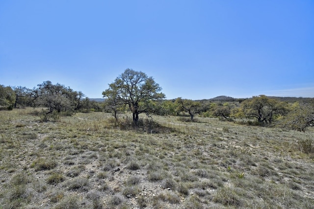343 Cattle Creek Dr, Johnson City, TX 78636