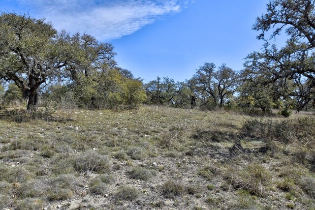 343 Cattle Creek Dr, Johnson City, TX 78636