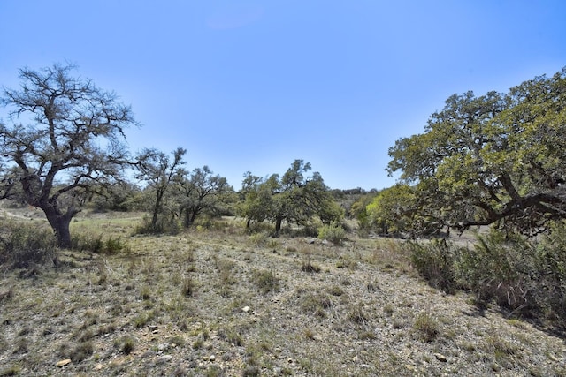 343 Cattle Creek Dr, Johnson City, TX 78636