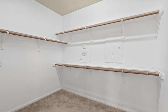 16304 Fincastle Dr, Austin, TX 78717 - spacious closet with light colored carpet
