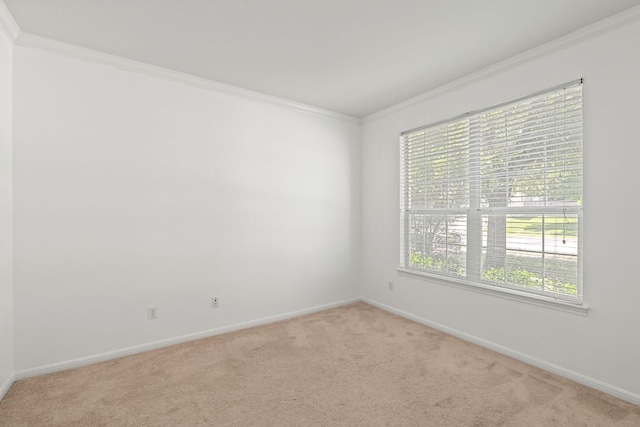 16304 Fincastle Dr, Austin, TX 78717 - spare room with ornamental molding, light carpet, and baseboards