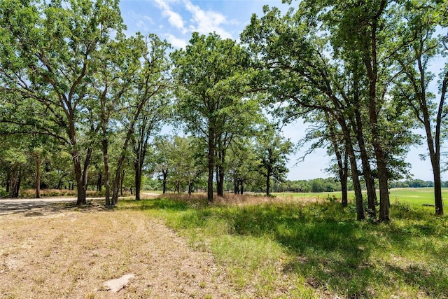11525 Fm 86th Rd, Lockhart, TX 78644 - view of local wilderness