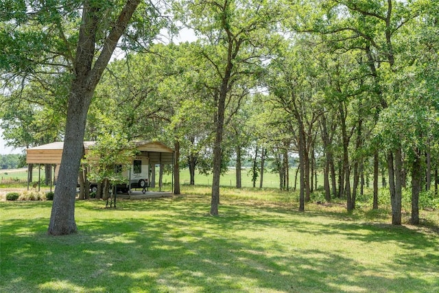 11525 Fm 86th Rd, Lockhart, TX 78644 - view of green lawn featuring a carport