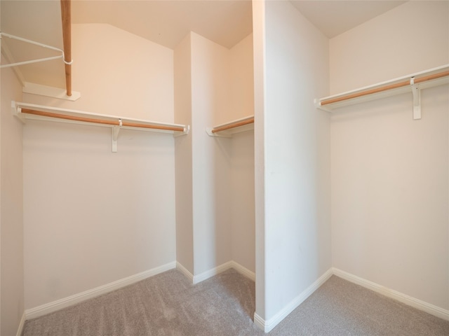 1010 Barclay Dr, Leander, TX 78641 - walk in closet featuring carpet floors