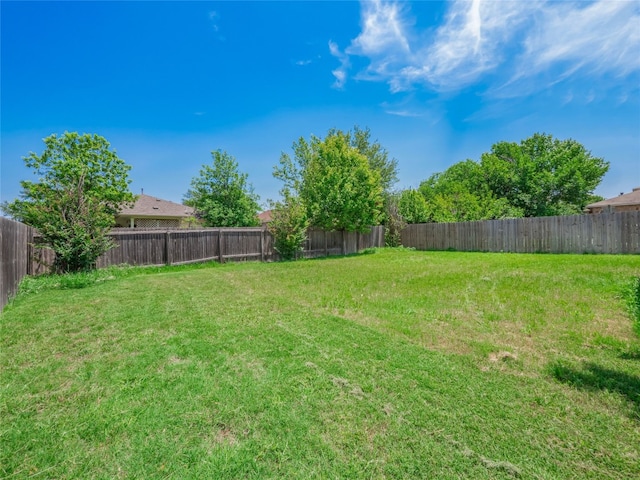 1010 Barclay Dr, Leander, TX 78641 - view of yard