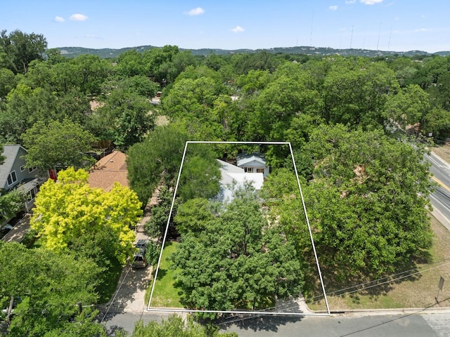 2004 Bremen St, Austin, TX 78703 - aerial view of property and surrounding area with property boundaries highlighted and a forest