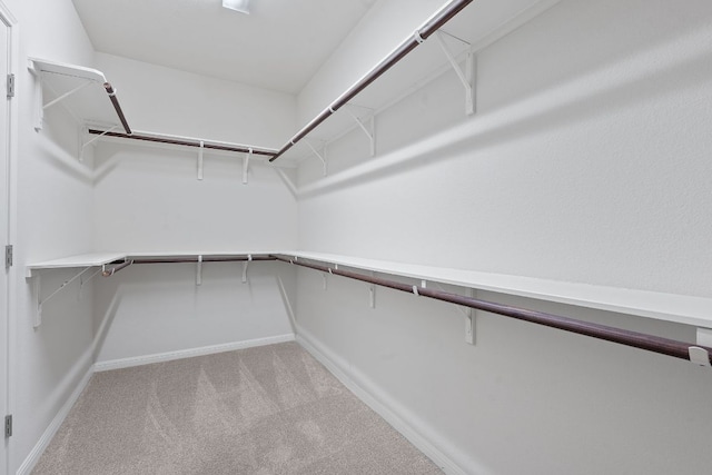 2809 Coral Valley Dr, Leander, TX 78641 - spacious closet featuring light colored carpet