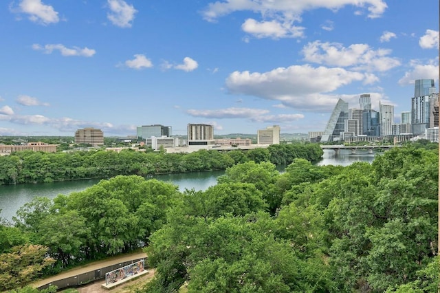 54 Rainey St Unit 814, Austin, TX 78701 - skyline view with a large body of water and a tree filled landscape