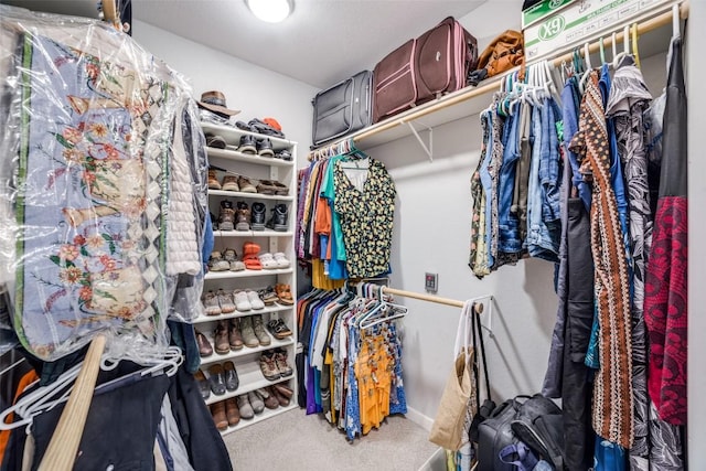 211 Spring Garden Dr, Hutto, TX 78634 - walk in closet with carpet floors