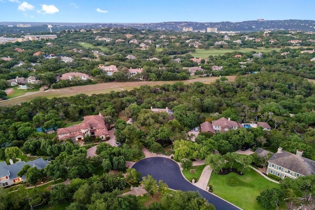 3101 Fleece Flower Cv, Austin, TX 78735 - aerial view of residential area