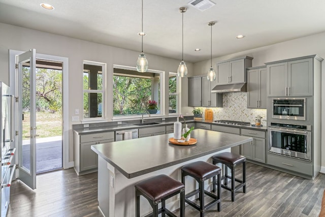 1280 Lucca Dr, Dripping Springs, TX 78620 - kitchen featuring gray cabinets, dark countertops, a sink, appliances with stainless steel finishes, and dark wood-style floors