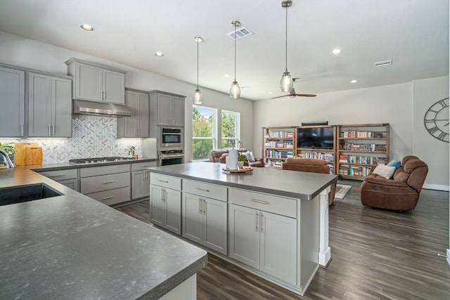 1280 Lucca Dr, Dripping Springs, TX 78620 - kitchen featuring gray cabinets, under cabinet range hood, a sink, a center island, and open floor plan