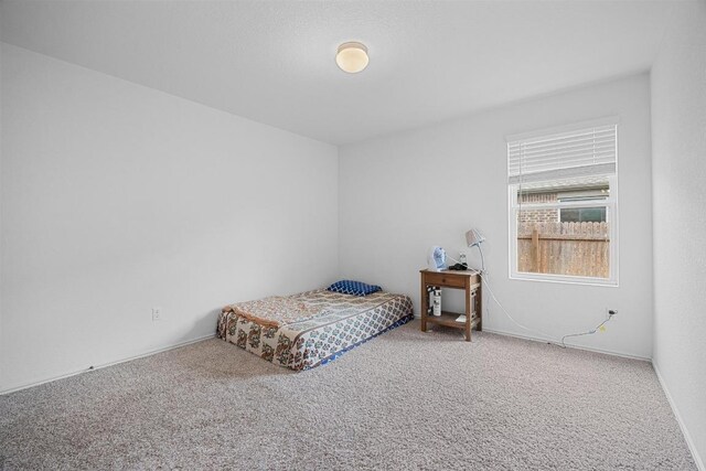 104 Split Rein Dr, Georgetown, TX 78626 - photo 21