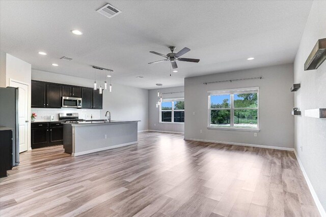 4333 Buffalo Ford Rd, Georgetown, TX 78628 - kitchen featuring appliances with stainless steel finishes, open floor plan, ceiling fan, light wood-type flooring, and recessed lighting