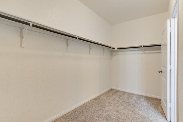 4333 Buffalo Ford Rd, Georgetown, TX 78628 - spacious closet with light carpet