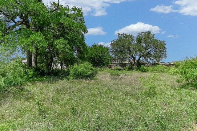 4333 Buffalo Ford Rd, Georgetown, TX 78628 - view of local wilderness