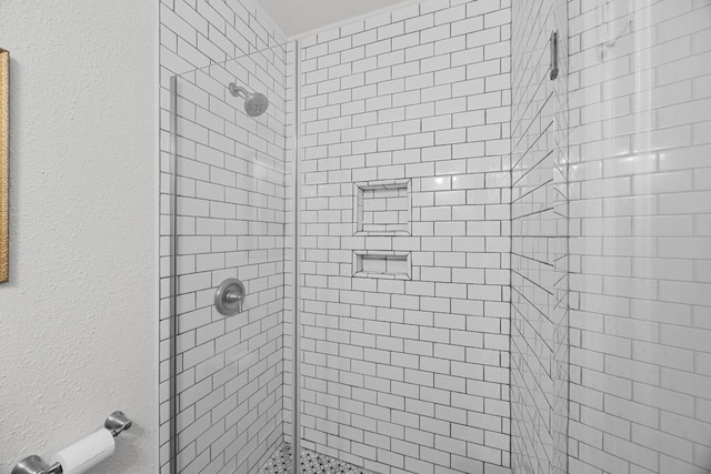 1502 S Elm St, Georgetown, TX 78626 - full bath featuring a shower stall and a textured wall