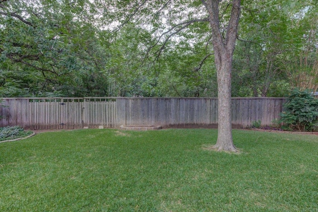 7925 Wheel Rim Cir, Austin, TX 78749 - view of yard