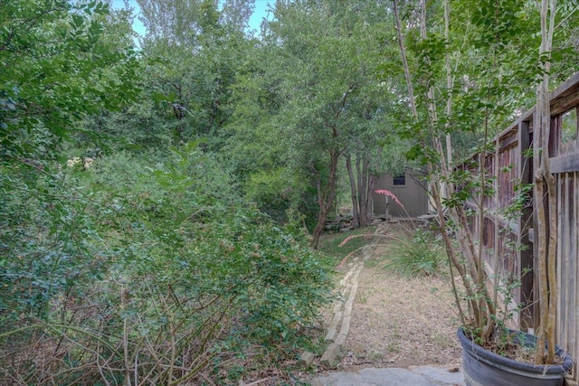 7925 Wheel Rim Cir, Austin, TX 78749 - view of yard