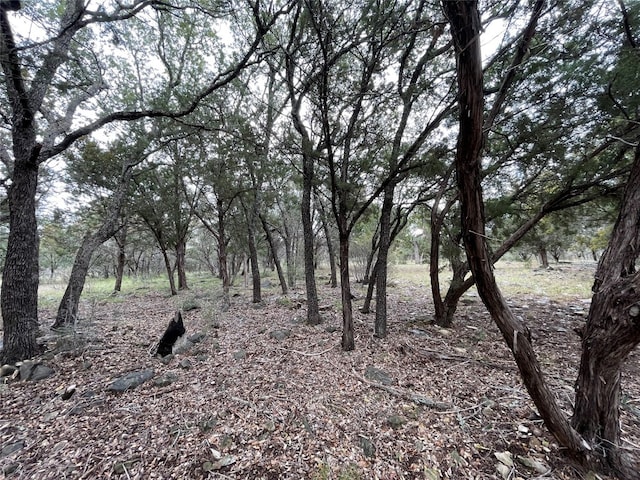 403 Quick Draw, Horseshoe Bay, TX 78657