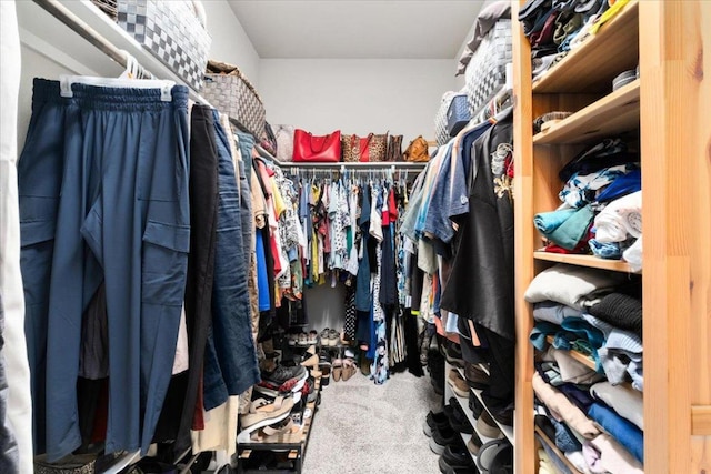 129 Lacey Oak Loop, San Marcos, TX 78666 - walk in closet featuring carpet flooring
