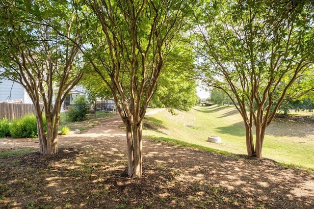 129 Lacey Oak Loop, San Marcos, TX 78666 - view of yard