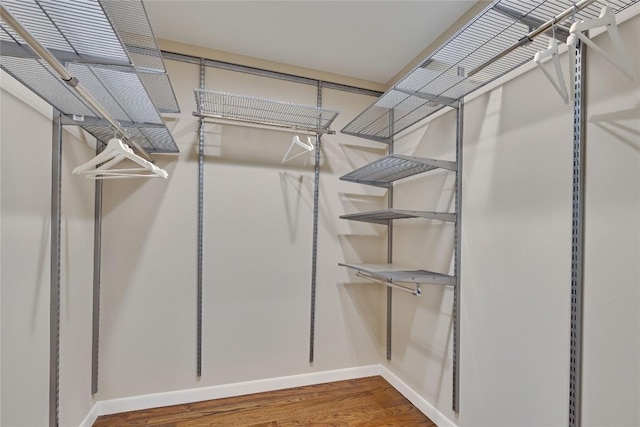 2905 Greenlawn Pkwy, Austin, TX 78757 - spacious closet featuring wood finished floors