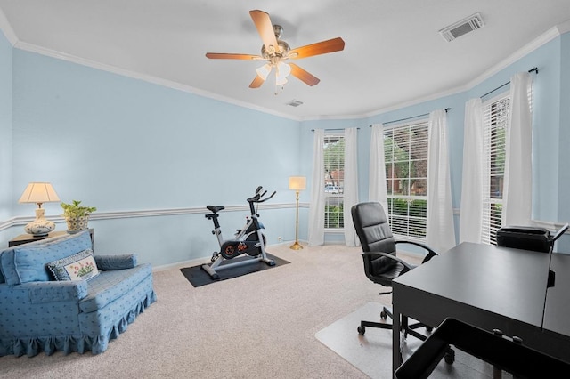 5302 Austral Loop, Austin, TX 78739 - office area with carpet flooring, ceiling fan, ornamental molding, and baseboards