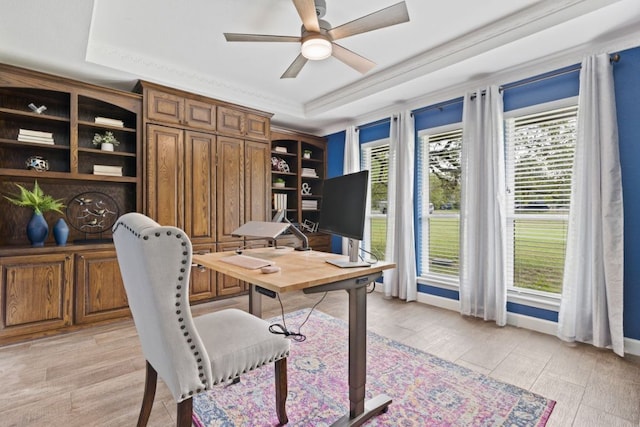 3701 Arrowhead Cir, Round Rock, TX 78681 - office space with a raised ceiling, ceiling fan, light wood-style flooring, and ornamental molding
