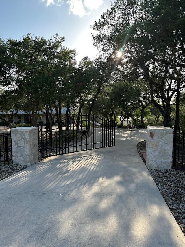 402 Lander Ln, Dripping Springs, TX 78620 - photo 5