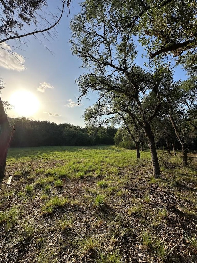 402 Lander Ln, Dripping Springs, TX 78620 - photo 32