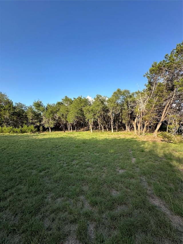 402 Lander Ln, Dripping Springs, TX 78620 - photo 33