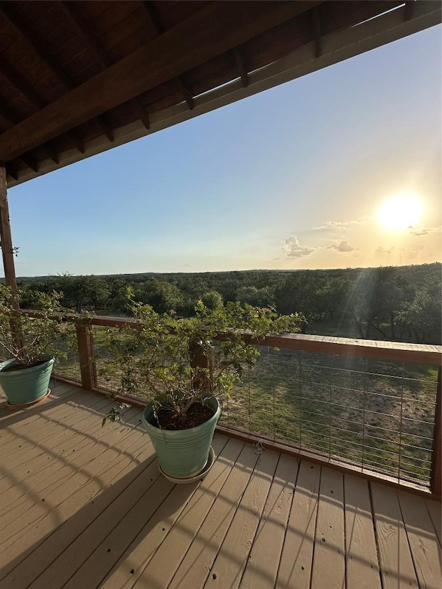 402 Lander Ln, Dripping Springs, TX 78620 - photo 34