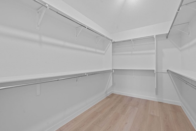 5209 Concho Creek Bnd, Austin, TX 78735 - spacious closet with light wood finished floors