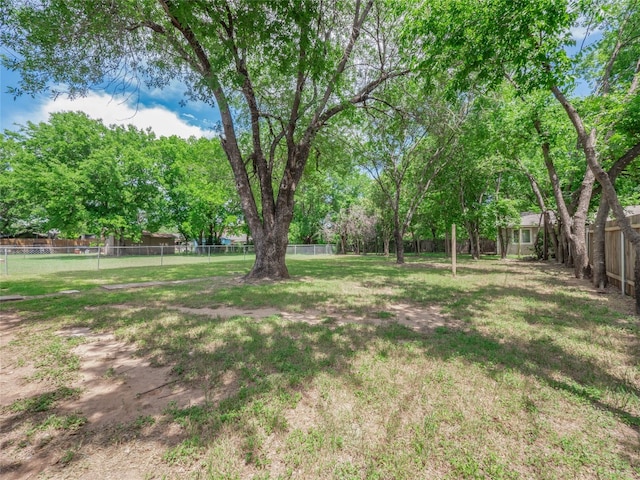 1021 Gardner Rd, Austin, TX 78721 - view of yard