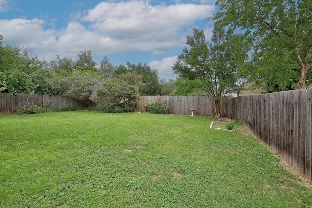 2202 Clayton Way, Cedar Park, TX 78613 - view of yard