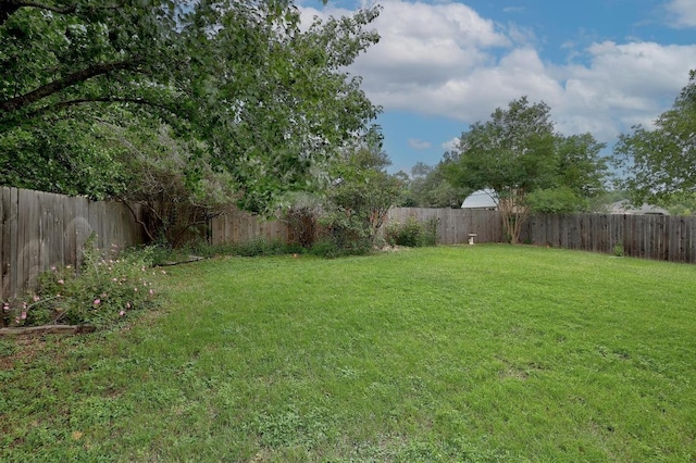 2202 Clayton Way, Cedar Park, TX 78613 - view of yard
