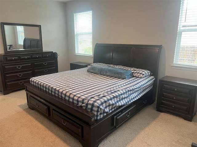 201 Abby Rd, Georgetown, TX 78626 - bedroom featuring light carpet and multiple windows