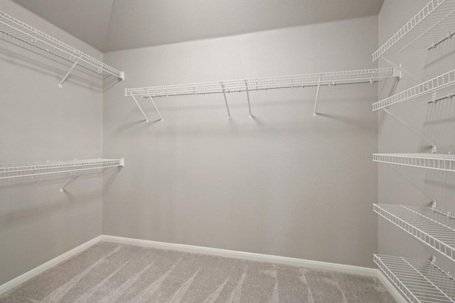 1121 Boxwood Loop, Georgetown, TX 78628 - walk in closet featuring carpet flooring