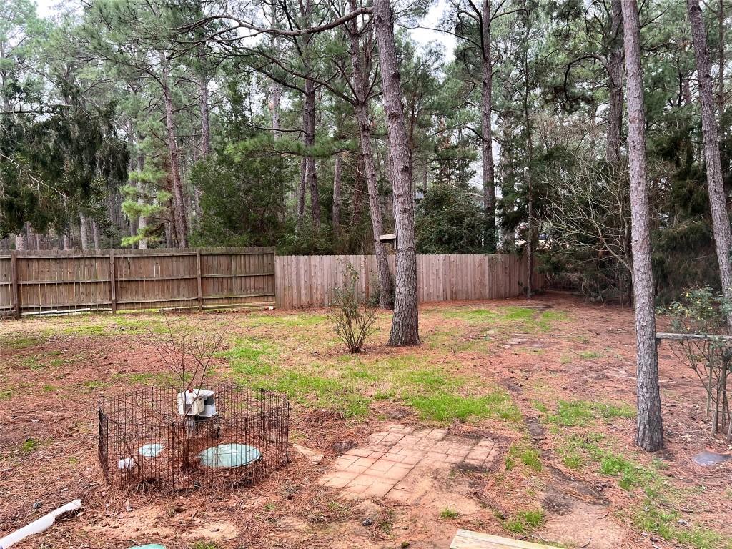 106 Shetland Ln, Bastrop, TX 78602 - view of yard