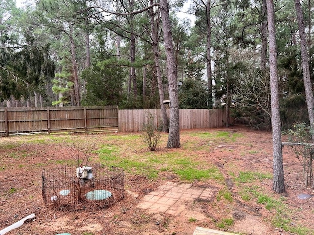 106 Shetland Ln, Bastrop, TX 78602 - view of yard
