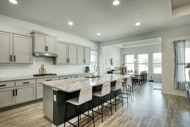 19500 Chayton Cir, Pflugerville, TX 78660 - kitchen featuring a sink, decorative backsplash, an island with sink, under cabinet range hood, and light wood-type flooring