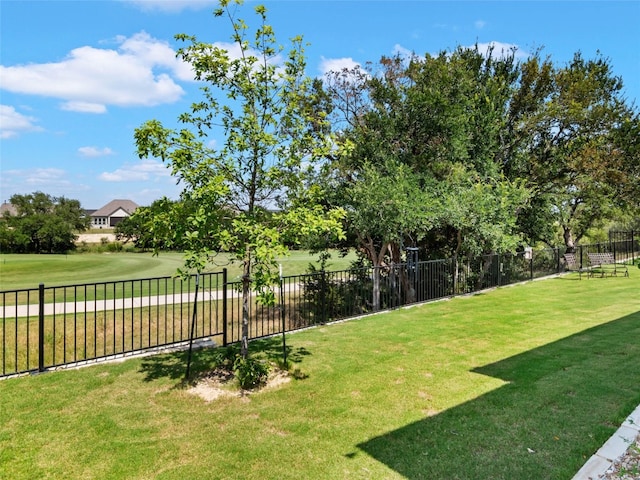 121 Wild Honeysuckle Way, San Marcos, TX 78666 - view of yard